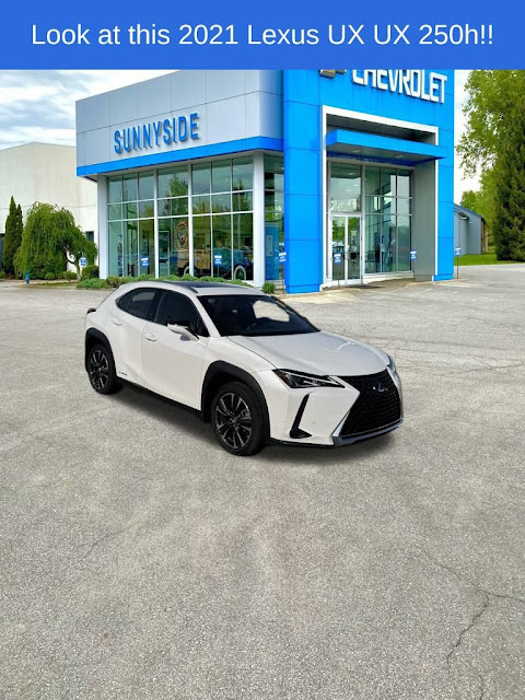 2021 Lexus UX UX 250h