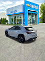 2021 Lexus UX UX 250h