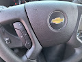2025 Chevrolet Express Cargo Van Work Van